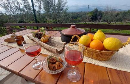 homonatura petrinum - Foto 11