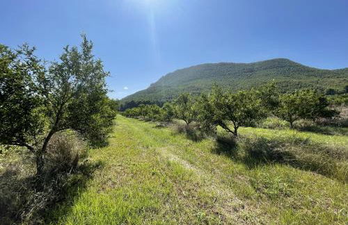 Casa Ramoncico. Finca el Campillo - Foto 44