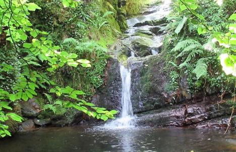 Apartamento Estelas de Cantabria - Foto 19