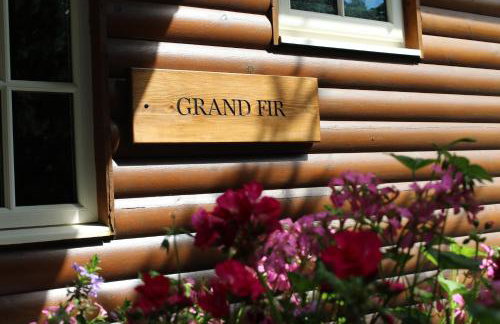 Grand Fir Lodge - Foto 18