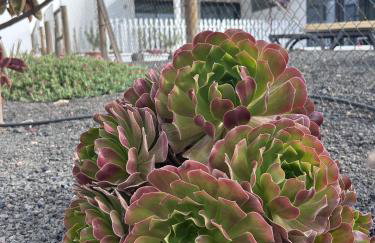 Bio Home La Asomada - Foto 20