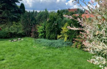 Agro-szyszynka - Foto 25