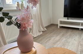 ST-Apartments Charming 2, Wohnung mit 3 Zimmern und Balkon - Foto 19