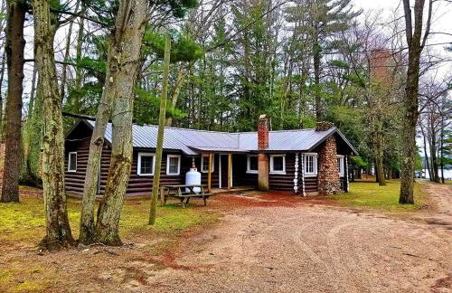 Spacious Family-Friendly Log Cabin with Lake Views near Cadillac, Michigan - Foto 5