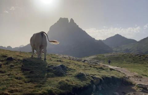 Au Graé - Maison à louer à Laruns Béarn - Foto 18