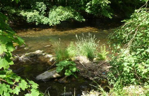 Ferienwohnung Schulze - Photo 28