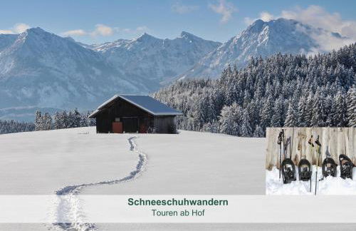 Chalet - Ferienwohnungen - Biohof Stöger - Panoramasüdbalkon - grandiose Aussicht auf See, Berge und Schloss Neuschwanstein - Foto 32