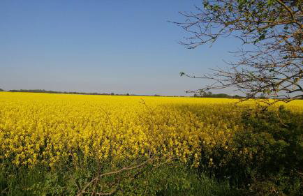 Ferienwohnung III - Foto 48