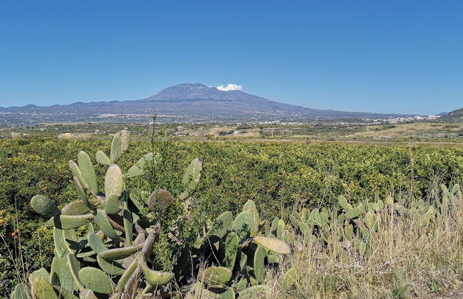 La Fattoria dei Nonni Resort dell'Etna - Foto 49