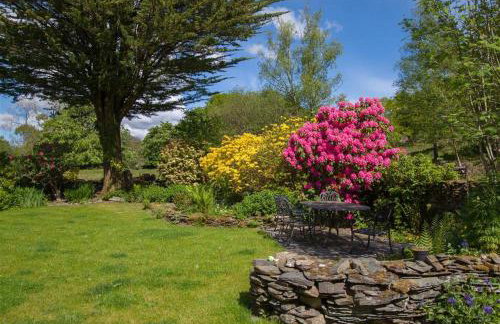 Old Droomer - Photo 30