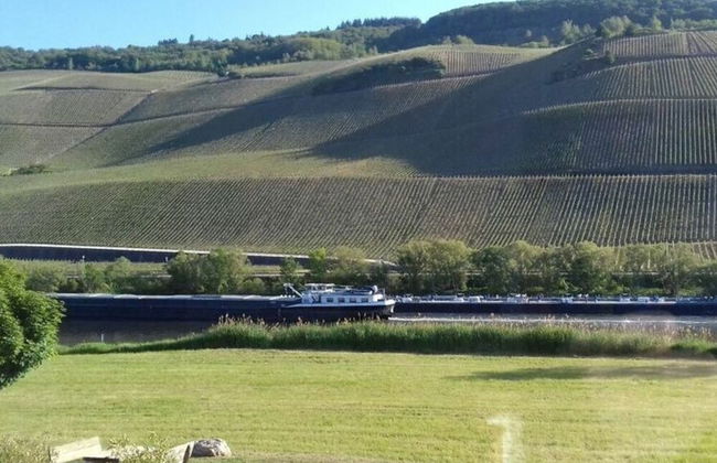 Holiday Apartment Moselle Beach 1 - Photo 15