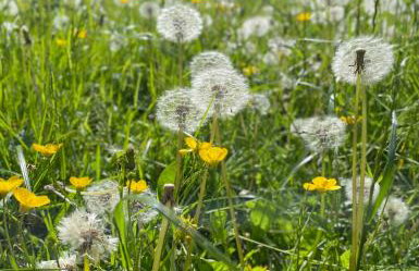 Atlantic Lodge - Foto 22