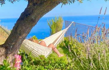 Casa de Prazeres - Foto 64