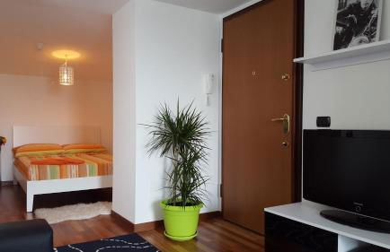 New Luxury Attic Santa Giulia Expo - Foto 18