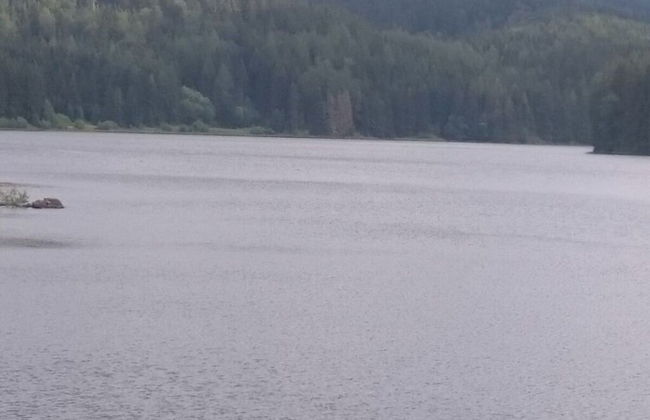 Daumler "house Am Weisswald" - Foto 13