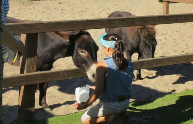 Fordehus Modern Retreat - Photo 13