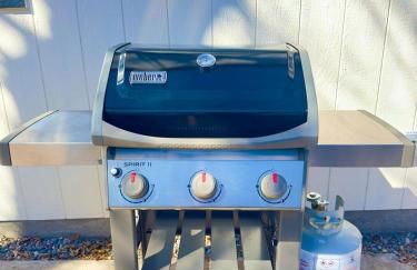 NEW REMODEL Denver Luxury Home with Private HOT TUB - Foto 40