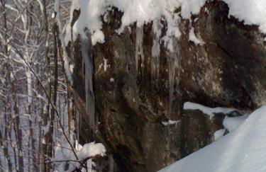 Meadow House Backcountry Residency - Foto 70