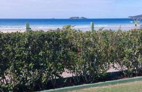 venha para esse paraiso! - Foto 18