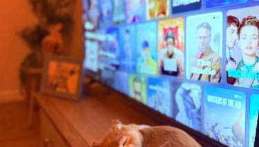 Grand Haven Dudley - Photo 5