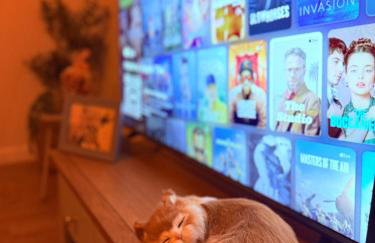 Grand Haven Dudley - Foto 5