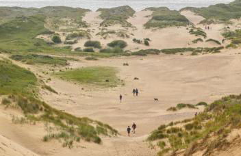 COASTAL RETREAT Town Centre Entire Property, Very Close to Sea & Restaurants, 2 King Size Beds - Foto 49