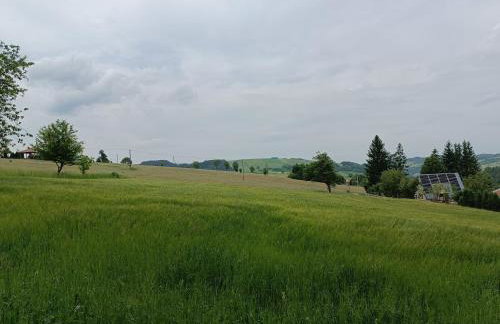 Skała i Las - Foto 16