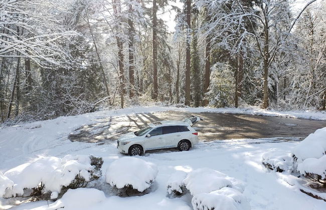 LUXE Retreat at 8050 Kaymar Dr. - Photo 67