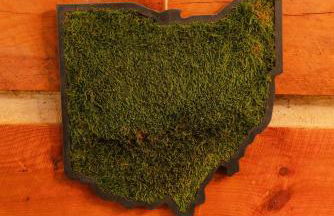 Outdoors Sleeps7 Family Getaway Fun Arcade - Foto 24