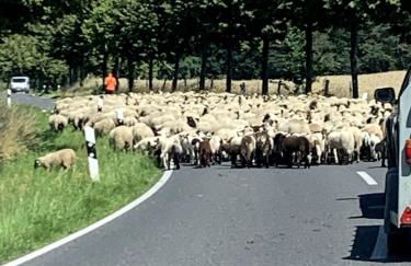 Große Loft im Naturschutzgebiet mit eigenem Garten - Photo 51