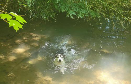 Echo Valley Outdoor Oasis Campsite - Foto 35