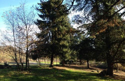 Gîte calme et spacieux pour amoureux de la nature - Photo 15