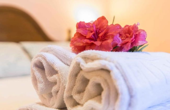 Casa do Cribeiro - Photo 4