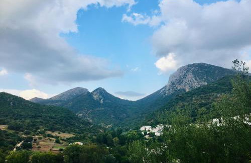 CASA EL CALLEJON DE BENAMAHOMA - Foto 43