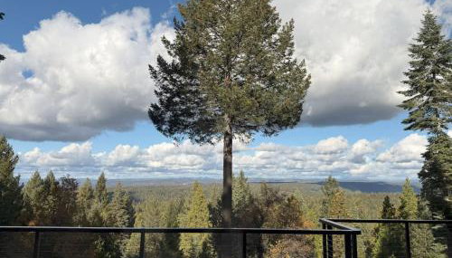 Breathtaking View Nevada City - Foto 5