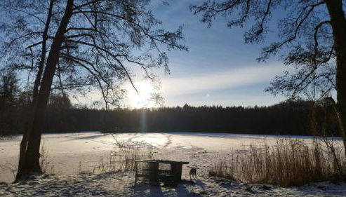 Gästewohnung Langer - Foto 2