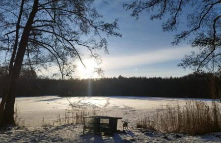 Gästewohnung Langer - Foto 2