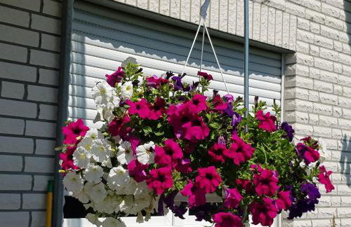 Ferienwohnung Monschauer Land - Foto 44