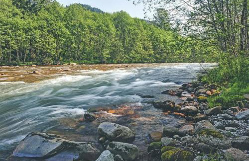 River Dance Retreat - Meredith Lodging - Foto 43