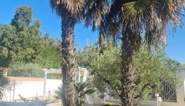 Le Dune di Circe - Foto 3, Garden, Garden view