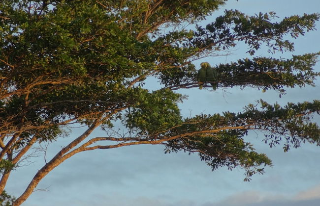 Hotel Finca L’Étoile Celeste - Foto 51