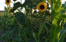 Settecentoalberi Agriturismo - Foto 25