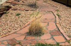 Gorgeous Rancher/Mtn Views/AF Academy - Foto 19