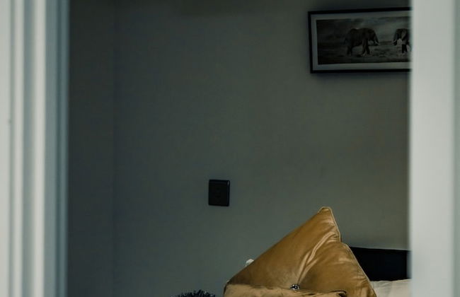 Bv Cosy Basement Apartment At Conditioning House - Photo 3