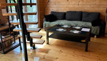 Domki w brzozach - Foto 4