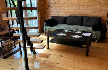 Domki w brzozach - Foto 4