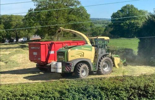'Serenity in Somerset ' Self Catering House Rental Near Chard , Accomodation for Contract Workers only - Foto 42