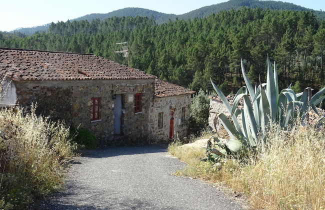 Palheiros da Ribeira - Foto 15