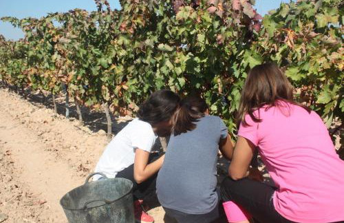 Apartamento Turístico Cigüeña de Alfaro - Foto 29