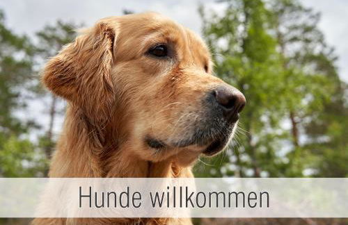 Hütte41: Ganze Hütte nah am See mit privatem Whirlpool, Sauna. Umzäunt. - Foto 19